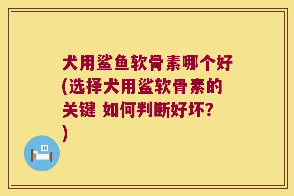 犬用鲨鱼软骨素哪个好(选择犬用鲨软骨素的关键 如何判断好坏?)