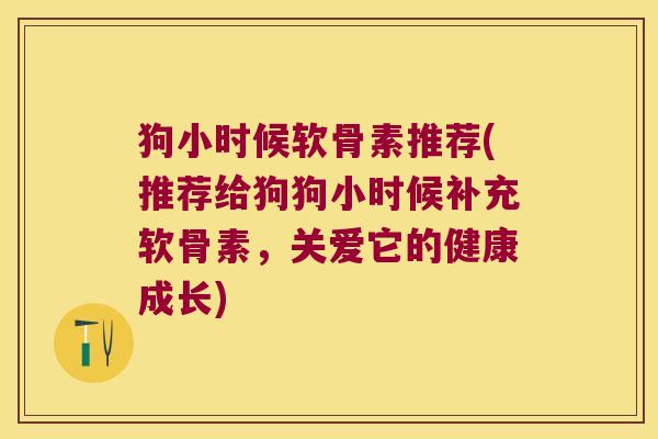 狗小时候软骨素推荐(推荐给狗狗小时候补充软骨素,关爱它的健康成长)