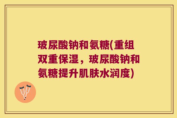 玻尿酸钠和氨糖(重组双重保湿,玻尿酸钠和氨糖提升肌肤水润度)