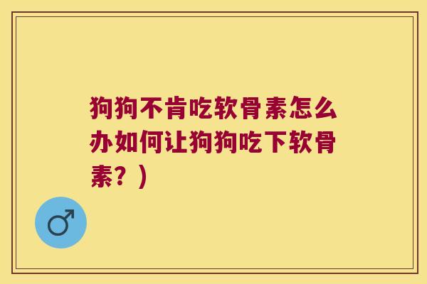 狗狗不肯吃软骨素怎么办如何让狗狗吃下软骨素?)