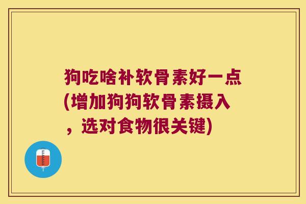 狗吃啥补软骨素好一点(增加狗狗软骨素摄入,选对食物很关键)