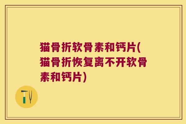 猫骨折软骨素和钙片(猫骨折恢复离不开软骨素和钙片)