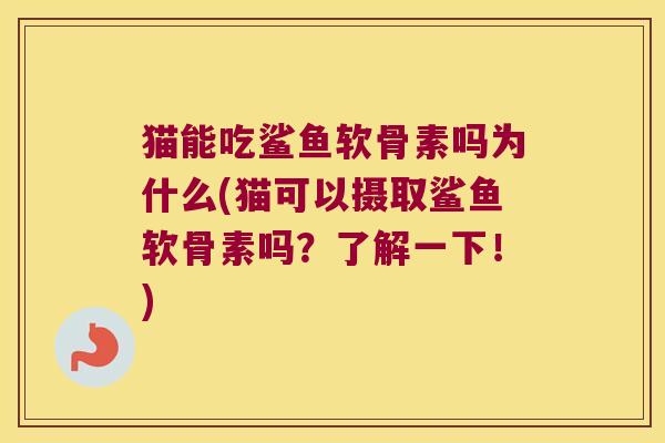 猫能吃鲨鱼软骨素吗为什么(猫可以摄取鲨鱼软骨素吗?了解一下!)