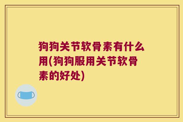 狗狗关节软骨素有什么用(狗狗服用关节软骨素的好处)