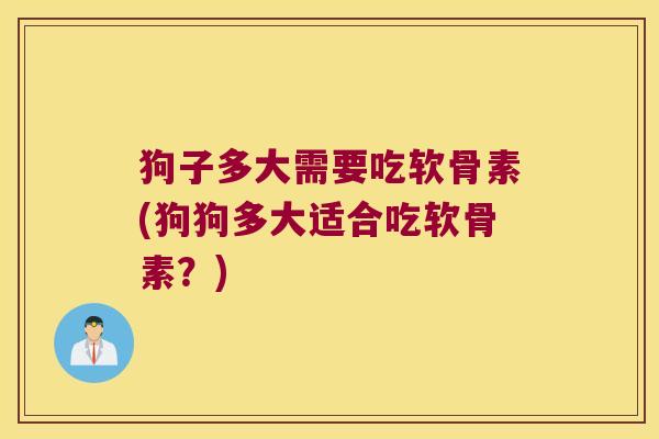 狗子多大需要吃软骨素(狗狗多大适合吃软骨素?)