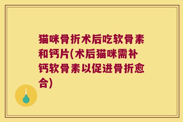 猫咪骨折术后吃软骨素和钙片(术后猫咪需补钙软骨素以促进骨折愈合)