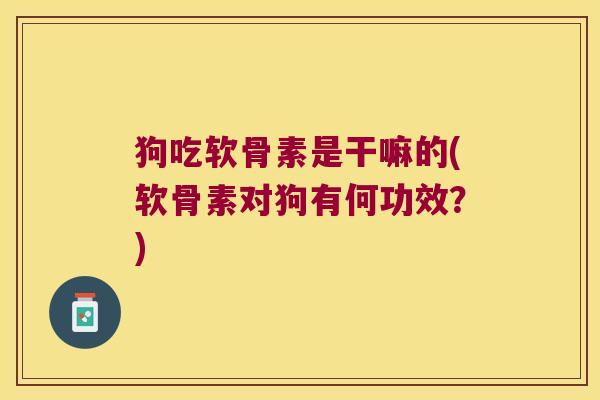 狗吃软骨素是干嘛的(软骨素对狗有何功效?)