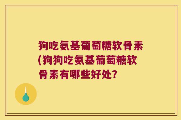 狗吃氨基葡萄糖软骨素(狗狗吃氨基葡萄糖软骨素有哪些好处?