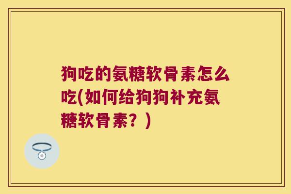 狗吃的氨糖软骨素怎么吃(如何给狗狗补充氨糖软骨素?)
