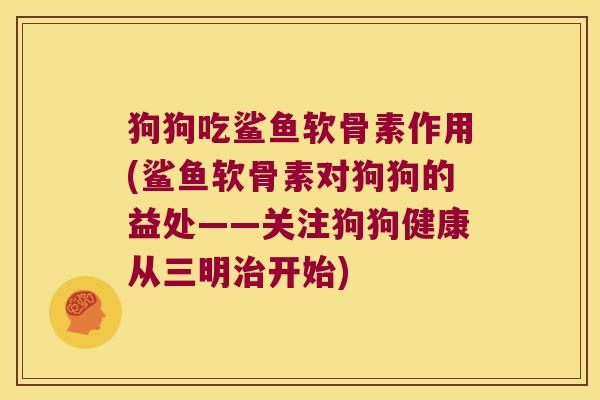 狗狗吃鲨鱼软骨素作用(鲨鱼软骨素对狗狗的益处——关注狗狗健康从三明治开始)