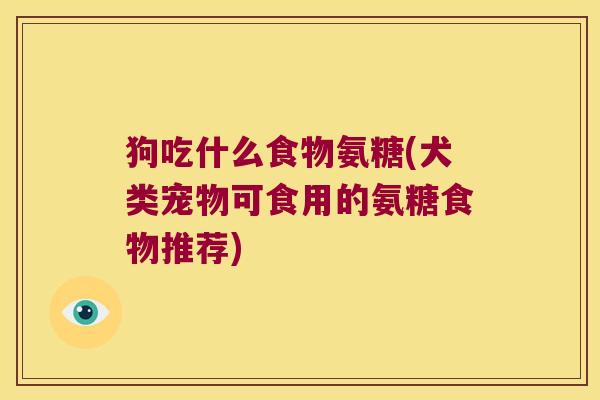 狗吃什么食物氨糖(犬类宠物可食用的氨糖食物推荐)