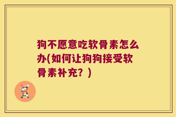狗不愿意吃软骨素怎么办(如何让狗狗接受软骨素补充?)