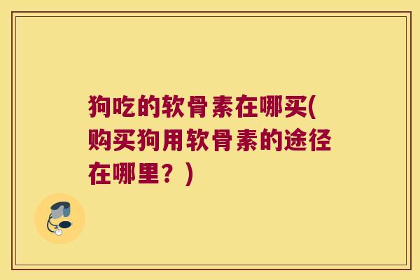 狗吃的软骨素在哪买(购买狗用软骨素的途径在哪里?)