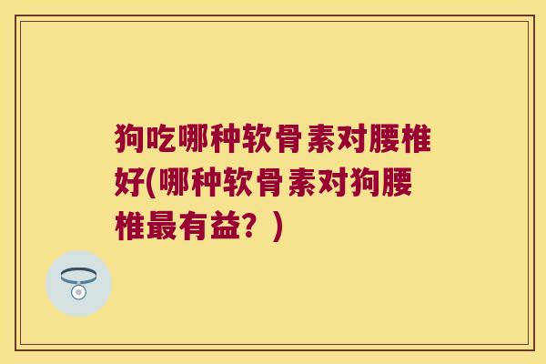 狗吃哪种软骨素对腰椎好(哪种软骨素对狗腰椎最有益?)