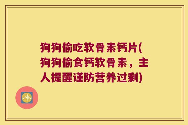 狗狗偷吃软骨素钙片(狗狗偷食钙软骨素,主人提醒谨防营养过剩)