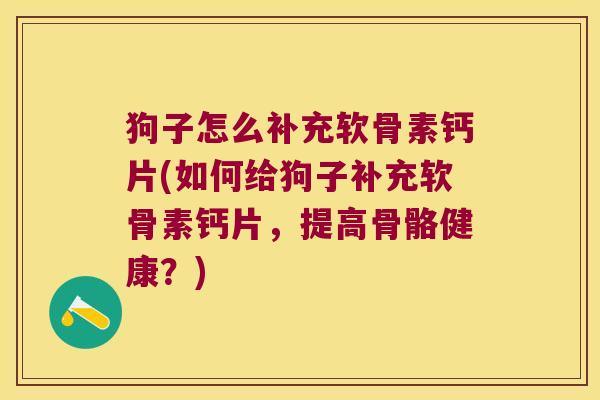 狗子怎么补充软骨素钙片(如何给狗子补充软骨素钙片,提高骨骼健康?)