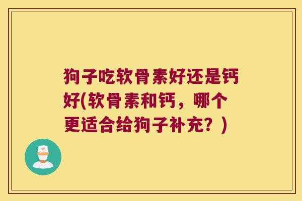狗子吃软骨素好还是钙好(软骨素和钙,哪个更适合给狗子补充?)
