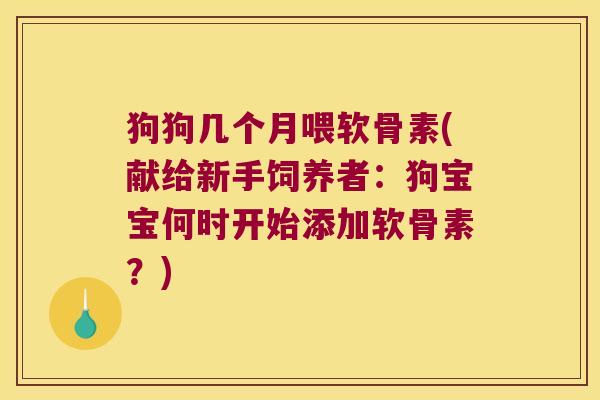 狗狗几个月喂软骨素(献给新手饲养者:狗宝宝何时开始添加软骨素?)