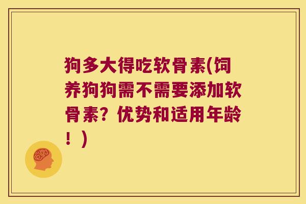 狗多大得吃软骨素(饲养狗狗需不需要添加软骨素?优势和适用年龄!)