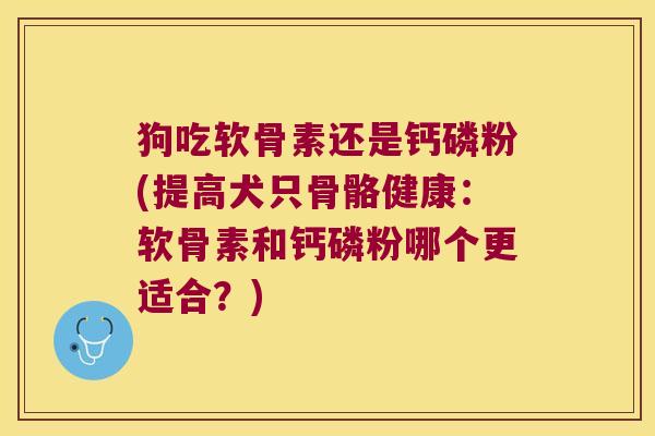 狗吃软骨素还是钙磷粉(提高犬只骨骼健康:软骨素和钙磷粉哪个更适合?)
