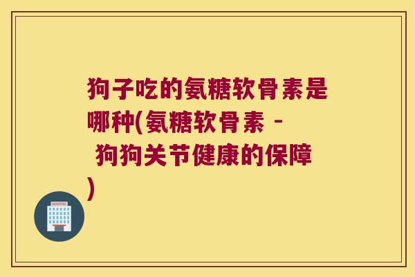 狗子吃的氨糖软骨素是哪种(氨糖软骨素 - 狗狗关节健康的保障)