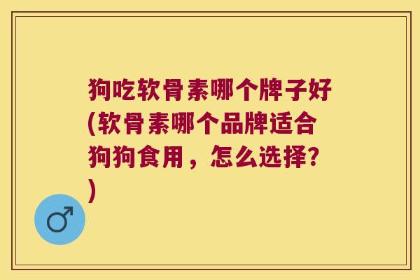 狗吃软骨素哪个牌子好(软骨素哪个品牌适合狗狗食用,怎么选择?)