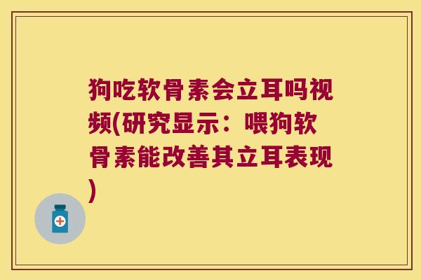 狗吃软骨素会立耳吗视频(研究显示:喂狗软骨素能改善其立耳表现)