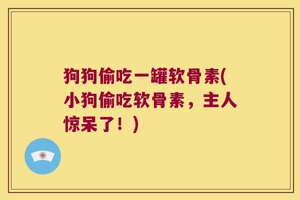 狗狗偷吃一罐软骨素(小狗偷吃软骨素,主人惊呆了!)