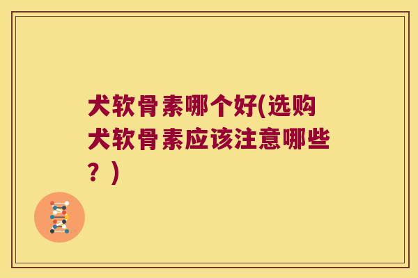 犬软骨素哪个好(选购犬软骨素应该注意哪些?)