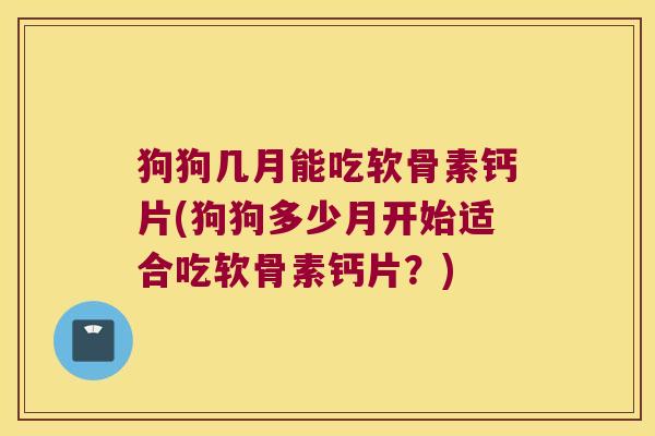狗狗几月能吃软骨素钙片(狗狗多少月开始适合吃软骨素钙片?)
