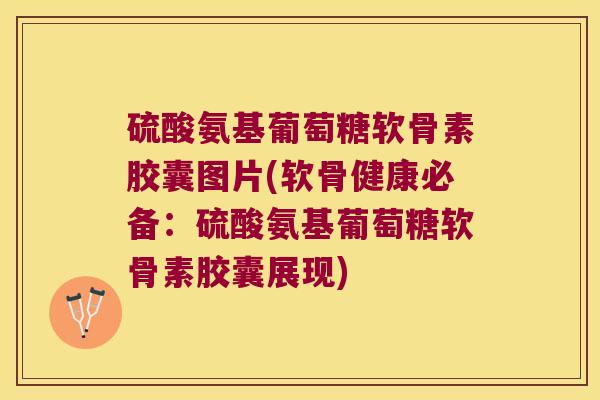 硫酸氨基葡萄糖软骨素胶囊图片(软骨健康必备:硫酸氨基葡萄糖软骨素胶囊展现)