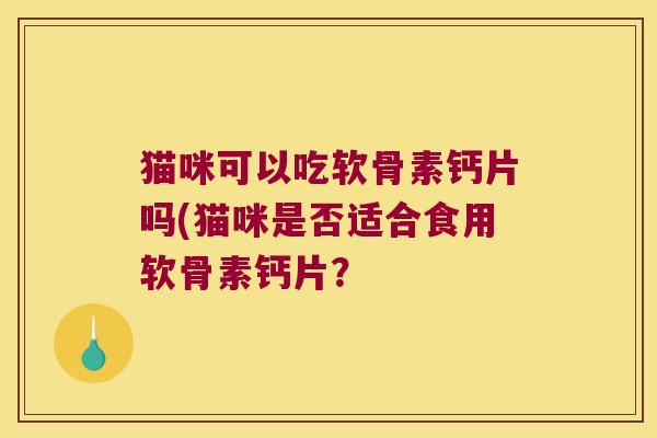 猫咪可以吃软骨素钙片吗(猫咪是否适合食用软骨素钙片?