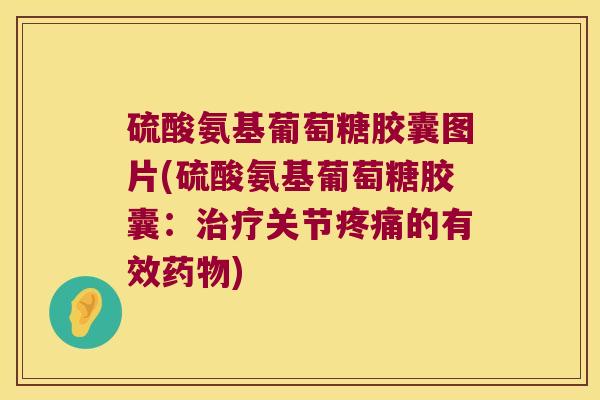 硫酸氨基葡萄糖胶囊图片(硫酸氨基葡萄糖胶囊:治疗关节疼痛的有效药物)