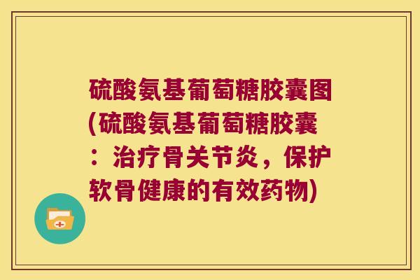 硫酸氨基葡萄糖胶囊图(硫酸氨基葡萄糖胶囊:治疗骨关节炎,保护软骨健康的有效药物)