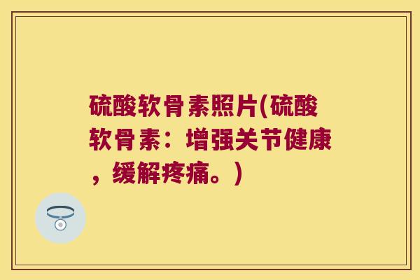 硫酸软骨素照片(硫酸软骨素:增强关节健康,缓解疼痛。)