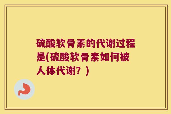 硫酸软骨素的代谢过程是(硫酸软骨素如何被人体代谢?)