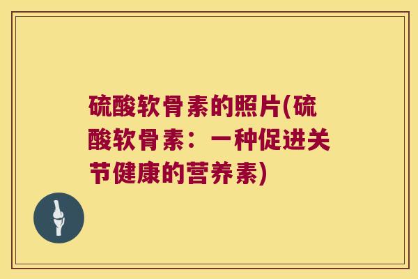 硫酸软骨素的照片(硫酸软骨素：一种促进关节健康的营养素)