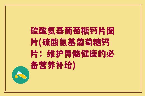 硫酸氨基葡萄糖钙片图片(硫酸氨基葡萄糖钙片:维护骨骼健康的必备营养补给)