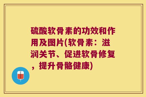硫酸软骨素的功效和作用及图片(软骨素:滋润关节、促进软骨修复,提升骨骼健康)