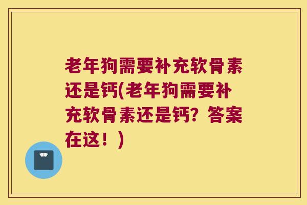 老年狗需要补充软骨素还是钙(老年狗需要补充软骨素还是钙?答案在这!)