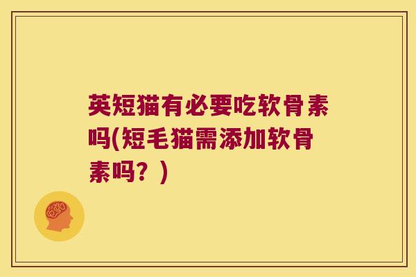 英短猫有必要吃软骨素吗(短毛猫需添加软骨素吗?)