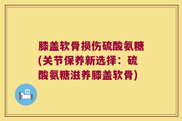 膝盖软骨损伤硫酸氨糖(关节保养新选择:硫酸氨糖滋养膝盖软骨)