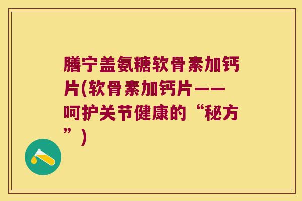 膳宁盖氨糖软骨素加钙片(软骨素加钙片——呵护关节健康的“秘方”)