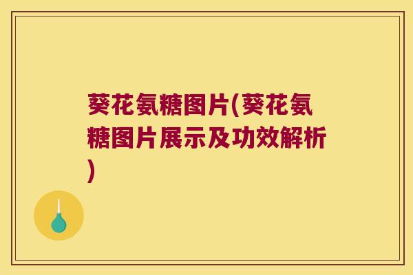 葵花氨糖图片(葵花氨糖图片展示及功效解析)