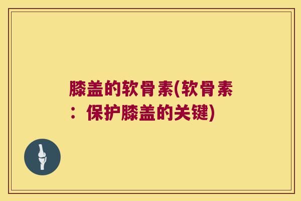 膝盖的软骨素(软骨素:保护膝盖的关键)