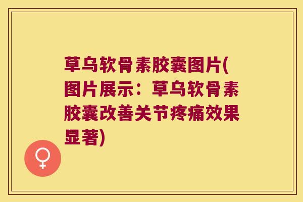 草乌软骨素胶囊图片(图片展示:草乌软骨素胶囊改善关节疼痛效果显著)