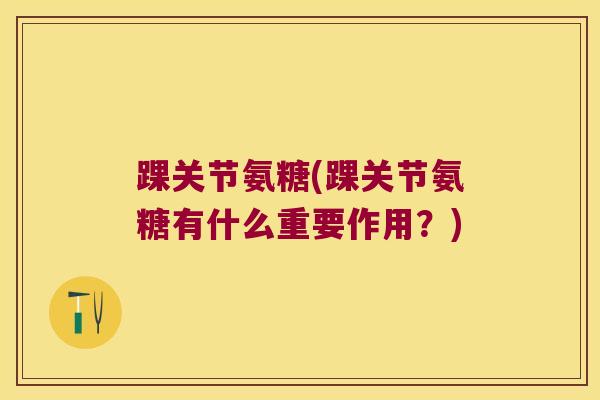 踝关节氨糖(踝关节氨糖有什么重要作用?)