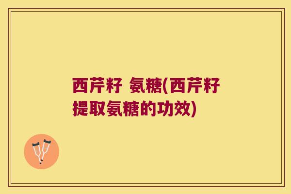 西芹籽 氨糖(西芹籽提取氨糖的功效)