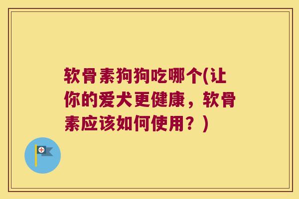 软骨素狗狗吃哪个(让你的爱犬更健康,软骨素应该如何使用?)