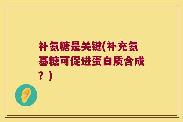 补氨糖是关键(补充氨基糖可促进蛋白质合成?)